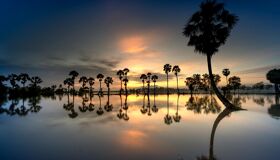 Begin your visa-extended day with Vietnam’s tranquil ambiance